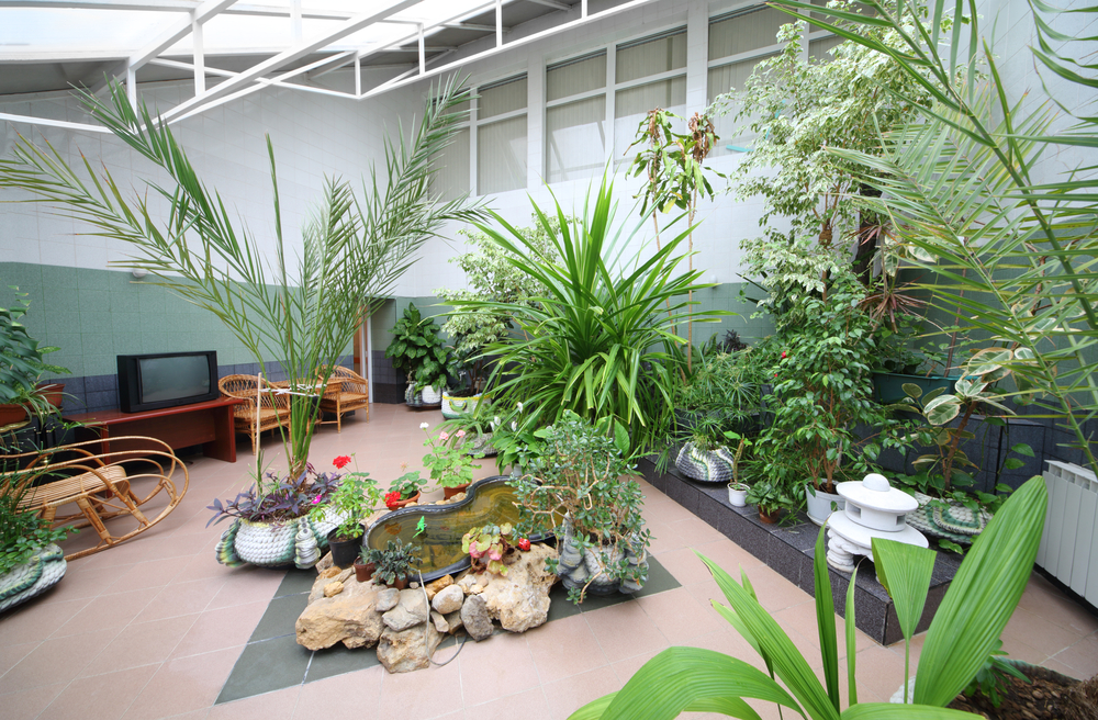 How To Create A Beautiful Indoor Garden and Keep It Clean YardYum